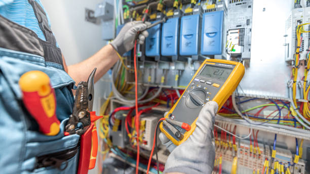 Best Electric Panel Repair  in Kalamazoo, MI